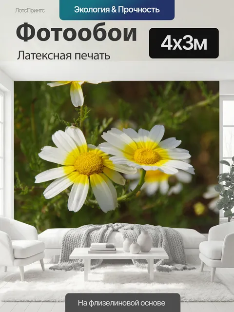 400 × 300 см · Латексная печать