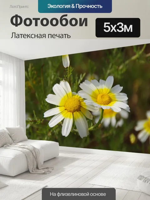 500 × 300 см · Латексная печать