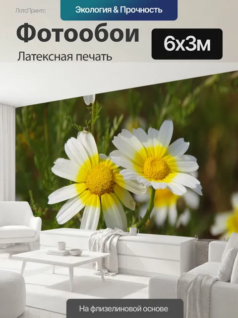 600 × 300 см · Латексная печать