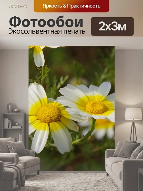 200 × 300 см · Экосольвентная печать