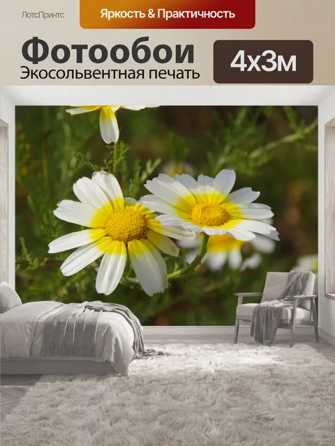 400 × 300 см · Экосольвентная печать