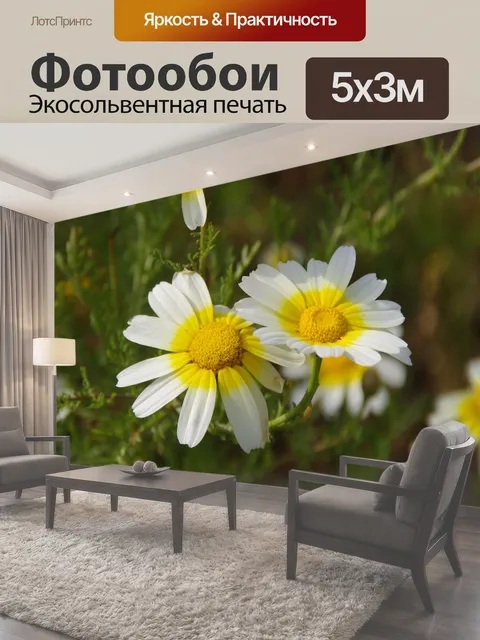 500 × 300 см · Экосольвентная печать