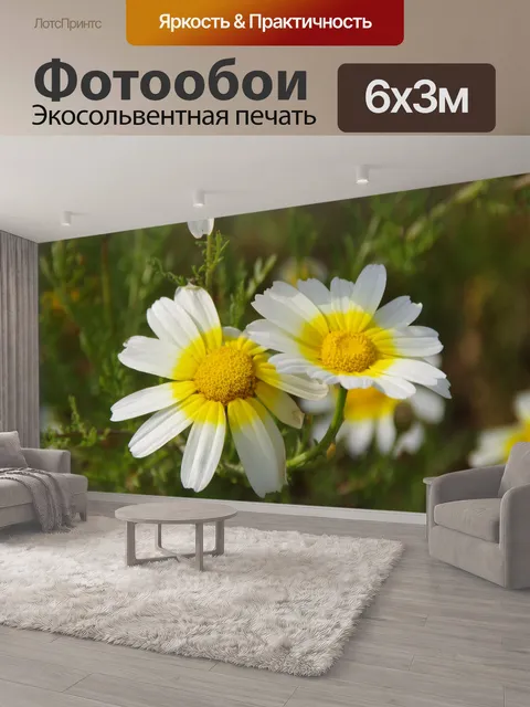 600 × 300 см · Экосольвентная печать