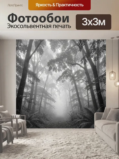 Фотообои Туманный лес с высокими деревьями. Серо-черный монохромный лес: высокие стволы, густые кроны, папоротники и т…