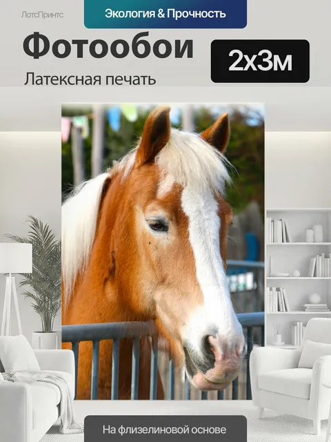 200 × 300 см · Латексная печать