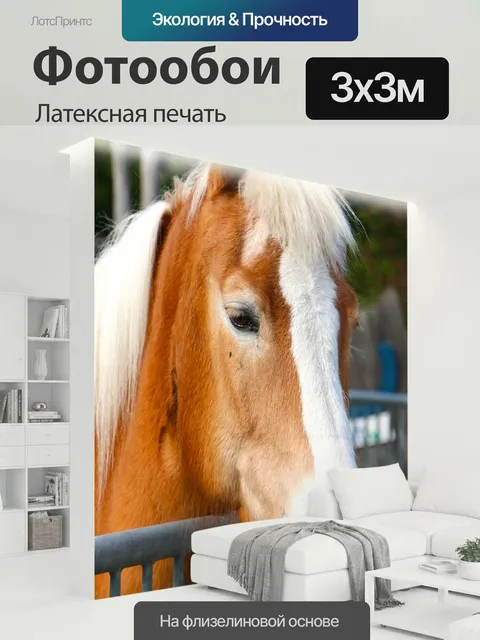 300 × 300 см · Латексная печать