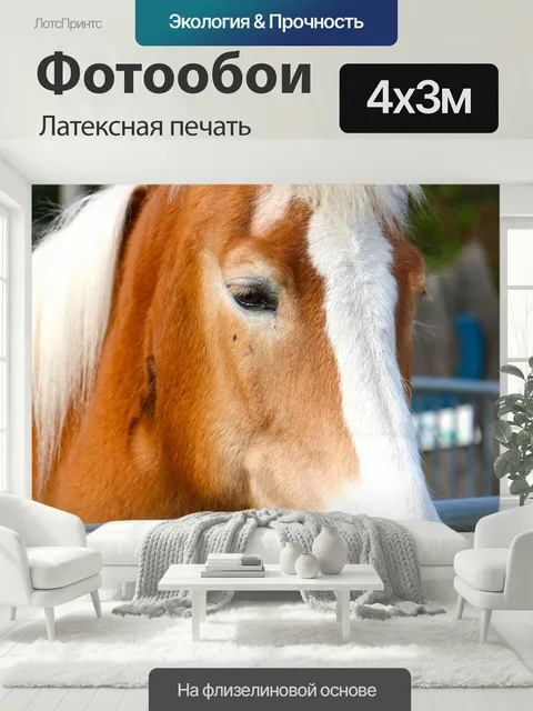 400 × 300 см · Латексная печать