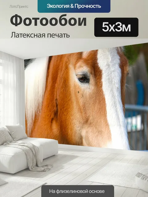 500 × 300 см · Латексная печать