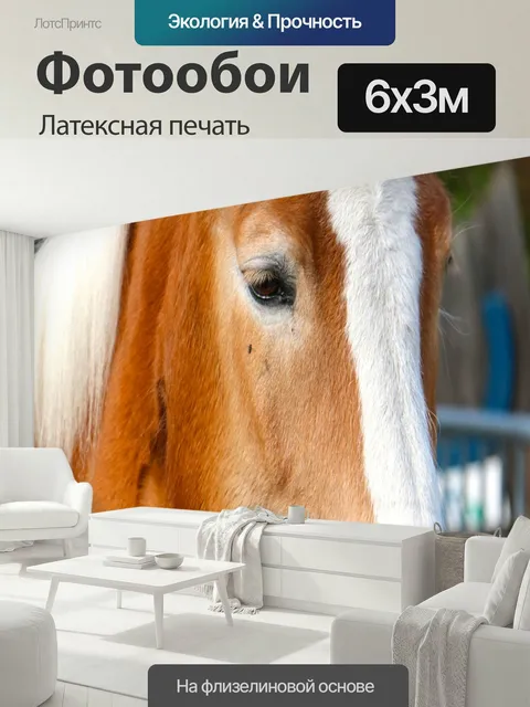 600 × 300 см · Латексная печать