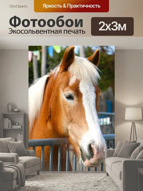 200 × 300 см · Экосольвентная печать