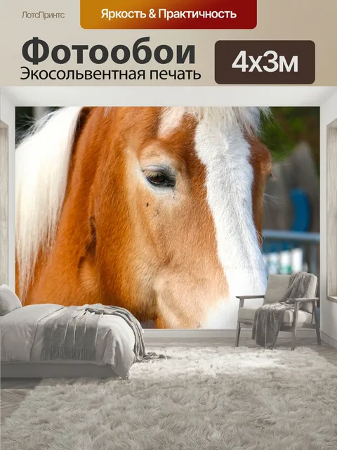 400 × 300 см · Экосольвентная печать