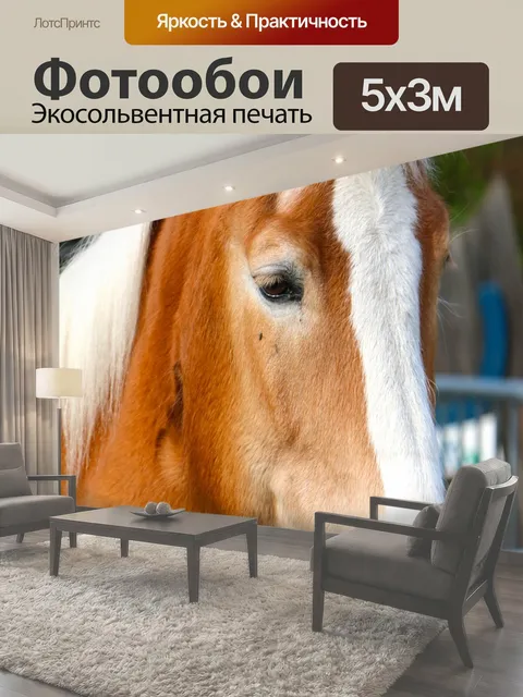 500 × 300 см · Экосольвентная печать