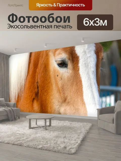 600 × 300 см · Экосольвентная печать