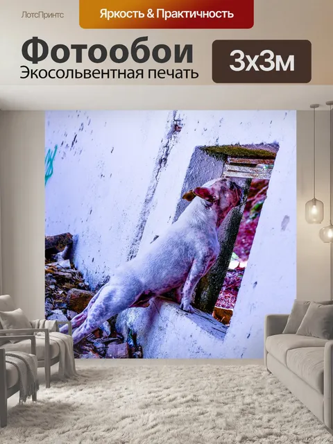 Фотообои Французский бульдог, гранж, бульдог