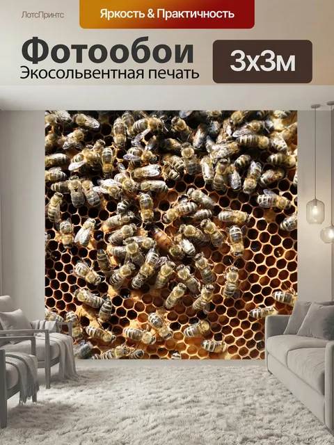 Фотообои Пчелы, сота, пчеловодство
