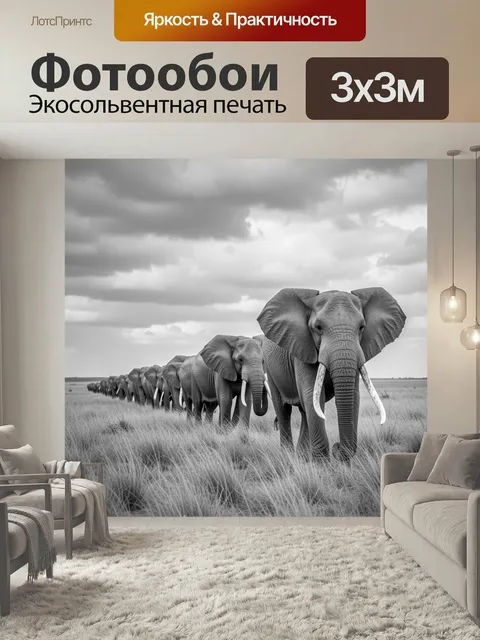 Фотообои Стадо слонов в саванне. Монохромная африканская сцена с величественными слонами, идущими по высокой траве под…