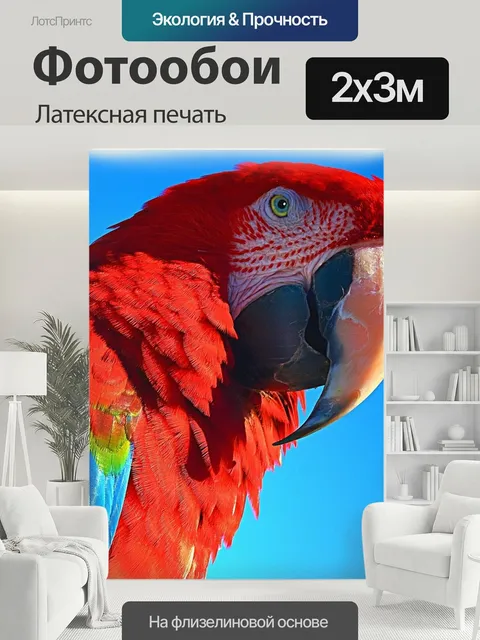 200 × 300 см · Латексная печать