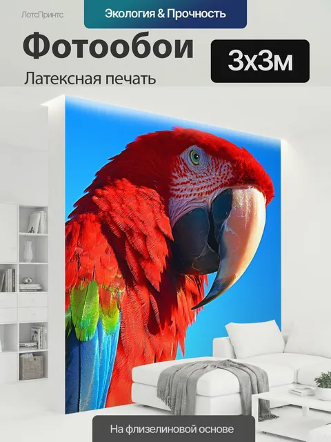 300 × 300 см · Латексная печать