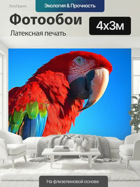 400 × 300 см · Латексная печать
