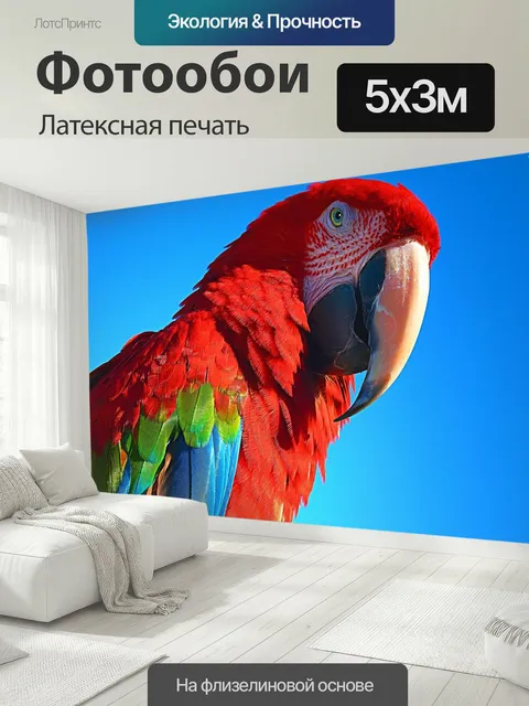 500 × 300 см · Латексная печать