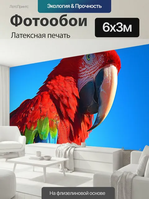 600 × 300 см · Латексная печать