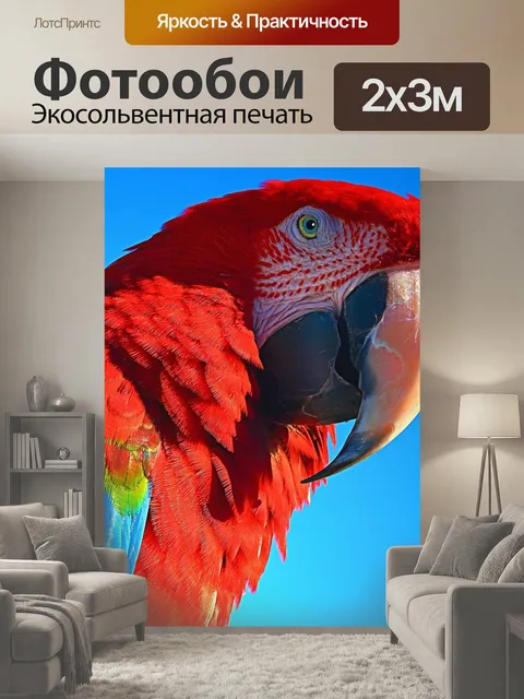 200 × 300 см · Экосольвентная печать