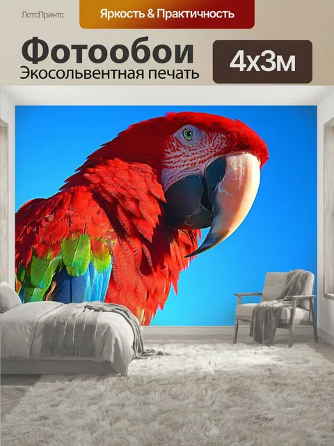400 × 300 см · Экосольвентная печать