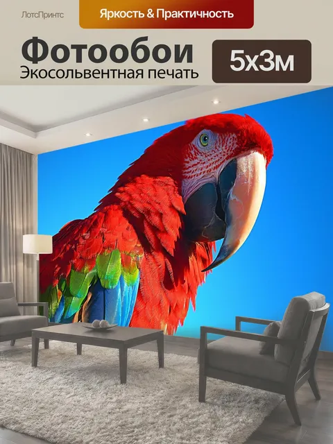 500 × 300 см · Экосольвентная печать
