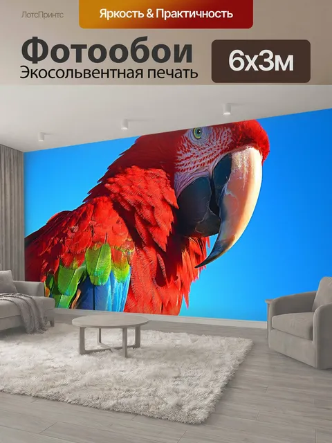 600 × 300 см · Экосольвентная печать