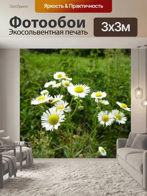 Фотообои Ромашка, травы, луговой завод