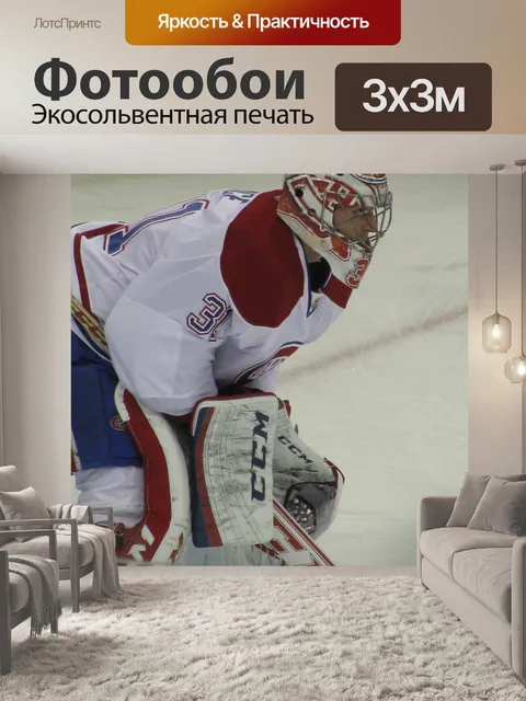 Фотообои Монреаль, хоккей, кэри прайс