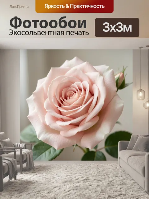 Фотообои Нежная розовая роза крупным планом. Пудровый бутон в макросъемке, шелковистые лепестки, мягкий свет, пастельн…