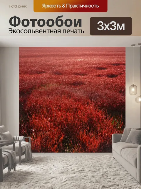 Фотообои Поле, засыпанное блестками багровой пыли, создавая ракурсы и светоотражения, придавая пространству теплоту