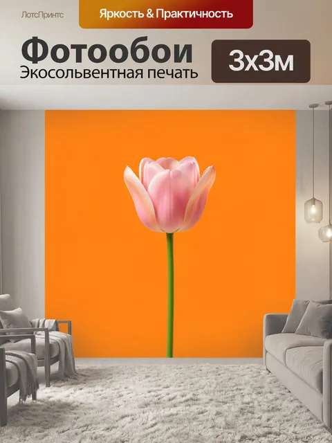 Фотообои Розовый тюльпан на оранжевом фоне. Нежный весенний цветок с мягкими лепестками и зелёным стеблем, минималисти…
