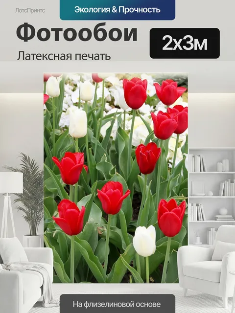 200 × 300 см · Латексная печать