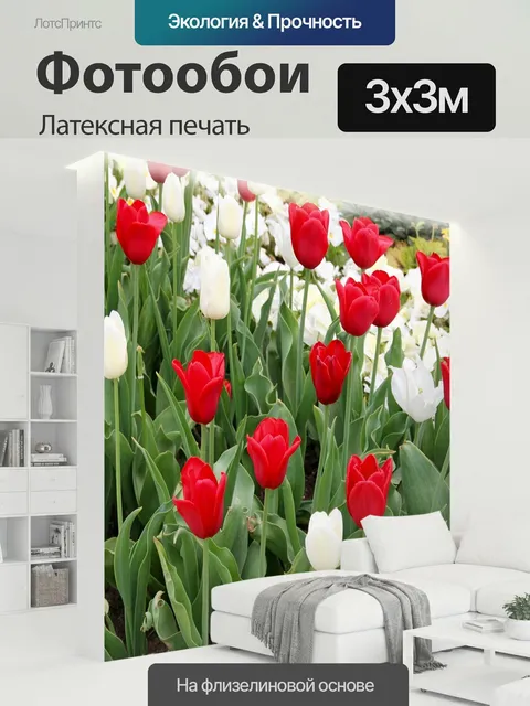 300 × 300 см · Латексная печать