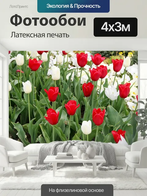 400 × 300 см · Латексная печать