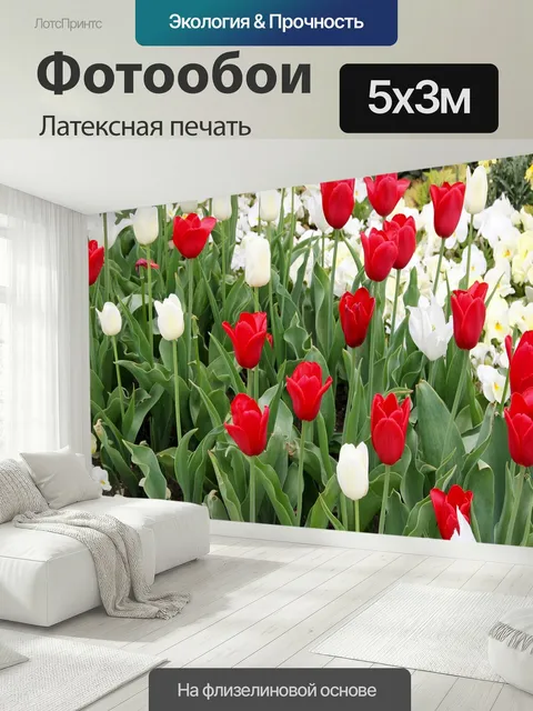 500 × 300 см · Латексная печать