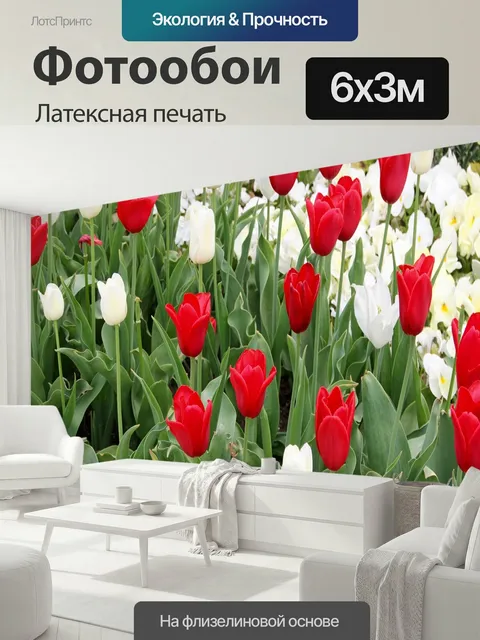 600 × 300 см · Латексная печать