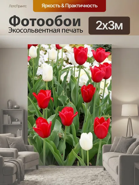 200 × 300 см · Экосольвентная печать