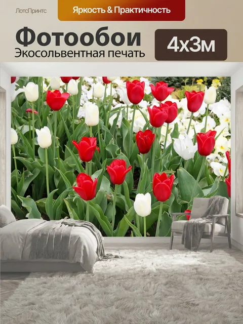 400 × 300 см · Экосольвентная печать