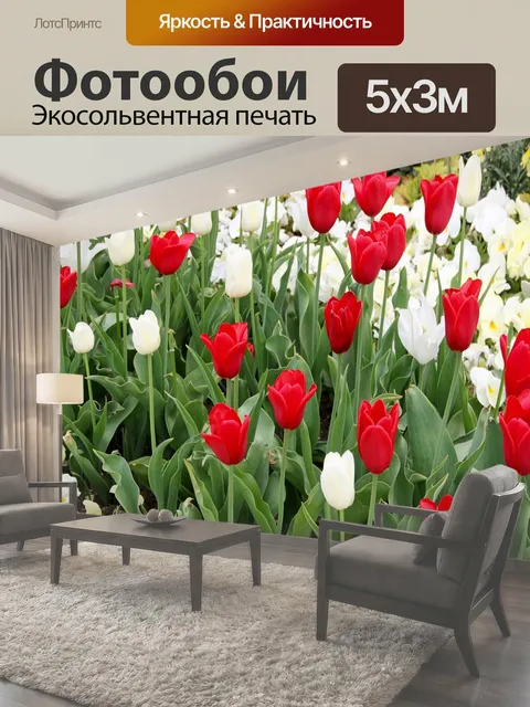 500 × 300 см · Экосольвентная печать