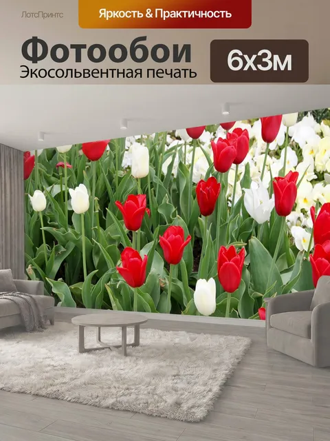 600 × 300 см · Экосольвентная печать
