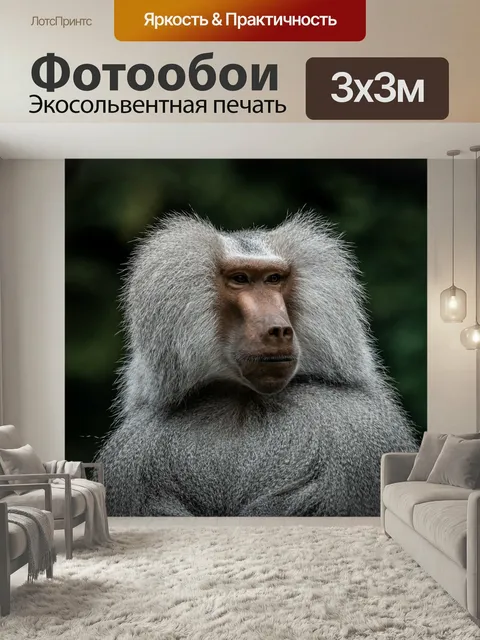 Фотообои Обезьяны, бабуин, зоопарк