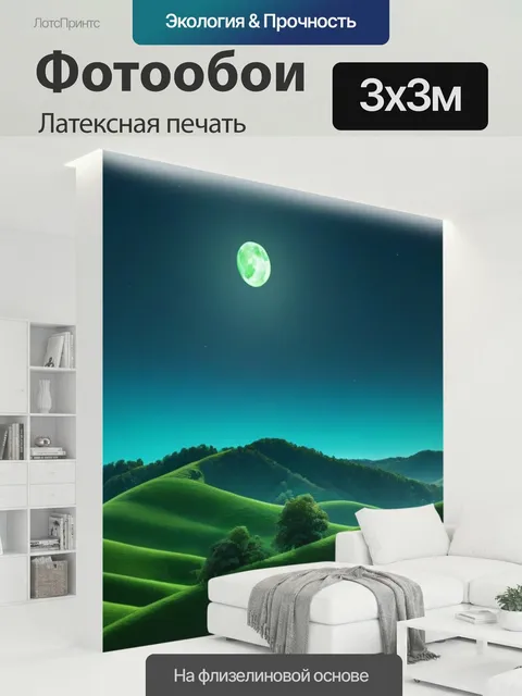 300 × 300 см · Латексная печать