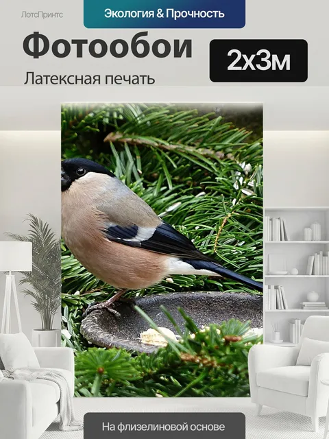 200 × 300 см · Латексная печать