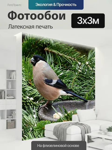 300 × 300 см · Латексная печать