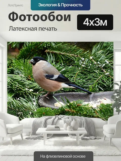 400 × 300 см · Латексная печать