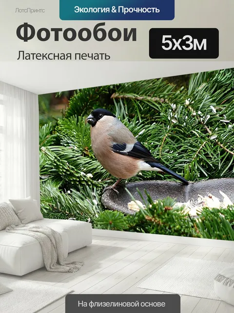 500 × 300 см · Латексная печать