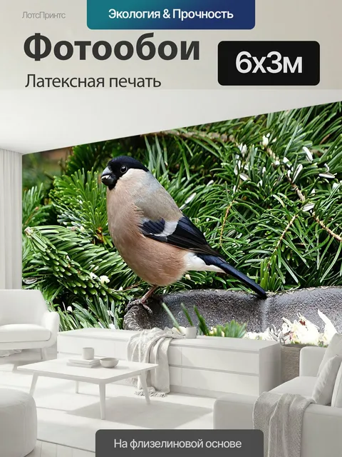 600 × 300 см · Латексная печать